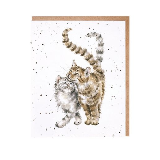 Sada přání a obálek Wrendale Designs "Feline Good", 8 ks - Kočky