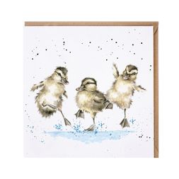 Přání Wrendale Designs "Puddle Ducks ", 15x15 cm - Káčátka